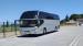Reisebusse - Neoplan N1216 Cityliner
