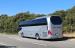 Standard & topdeck coaches - Neoplan N1216 Cityliner